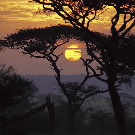 Sanctuary Swala Hotel Babati Buitenkant foto