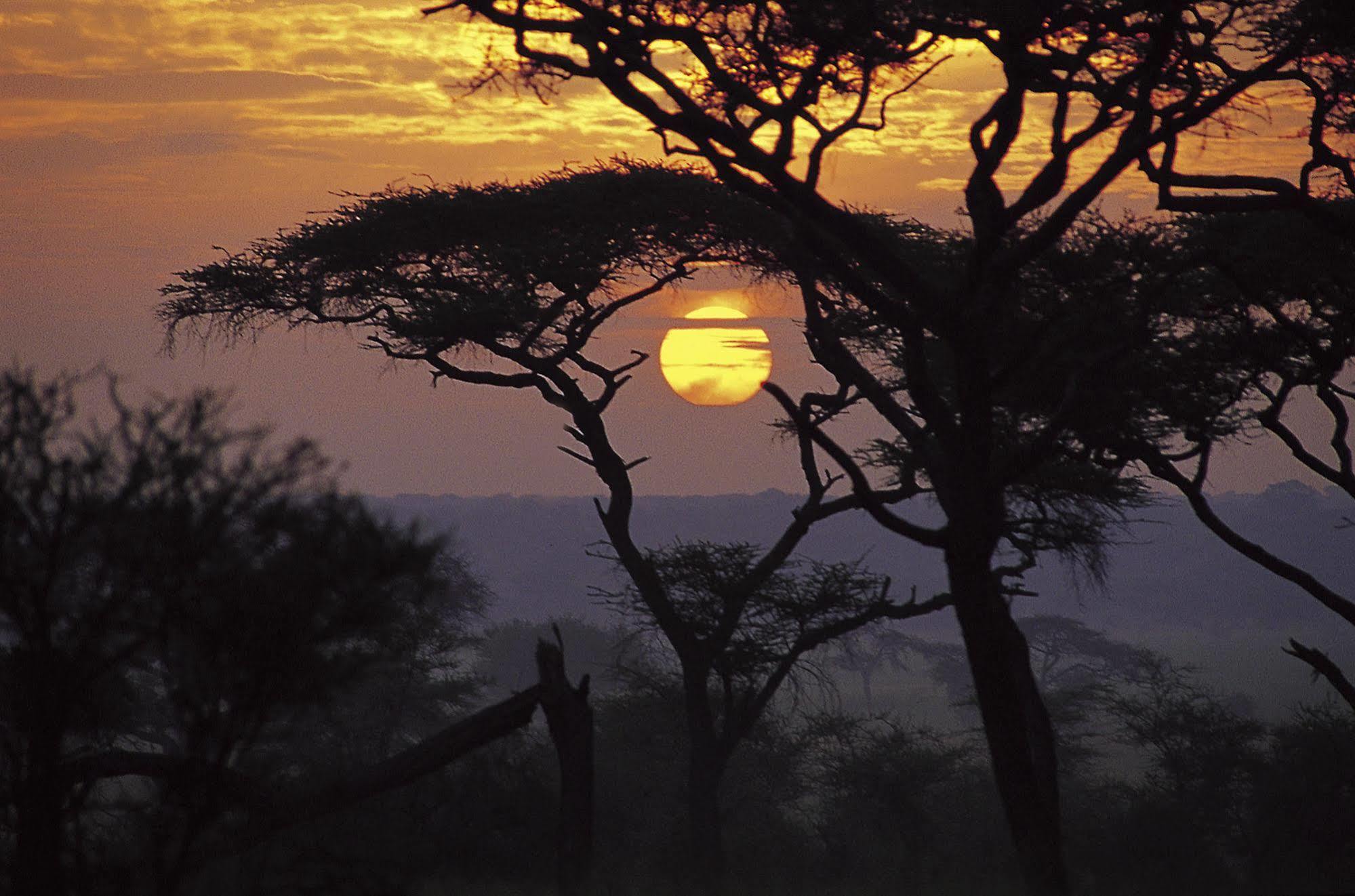 Sanctuary Swala Hotel Babati Buitenkant foto