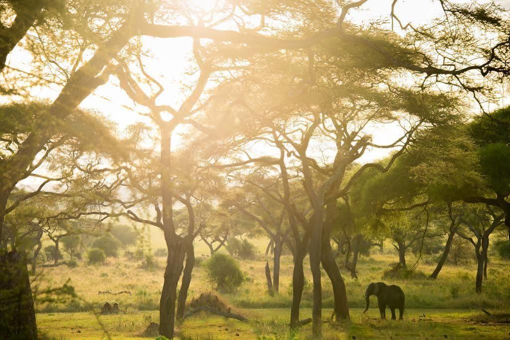 Sanctuary Swala Hotel Babati Buitenkant foto